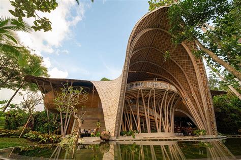  ニ TROPICAL WOOD: 持続可能な建築材料の未来を築く、魅惑的な選択肢！